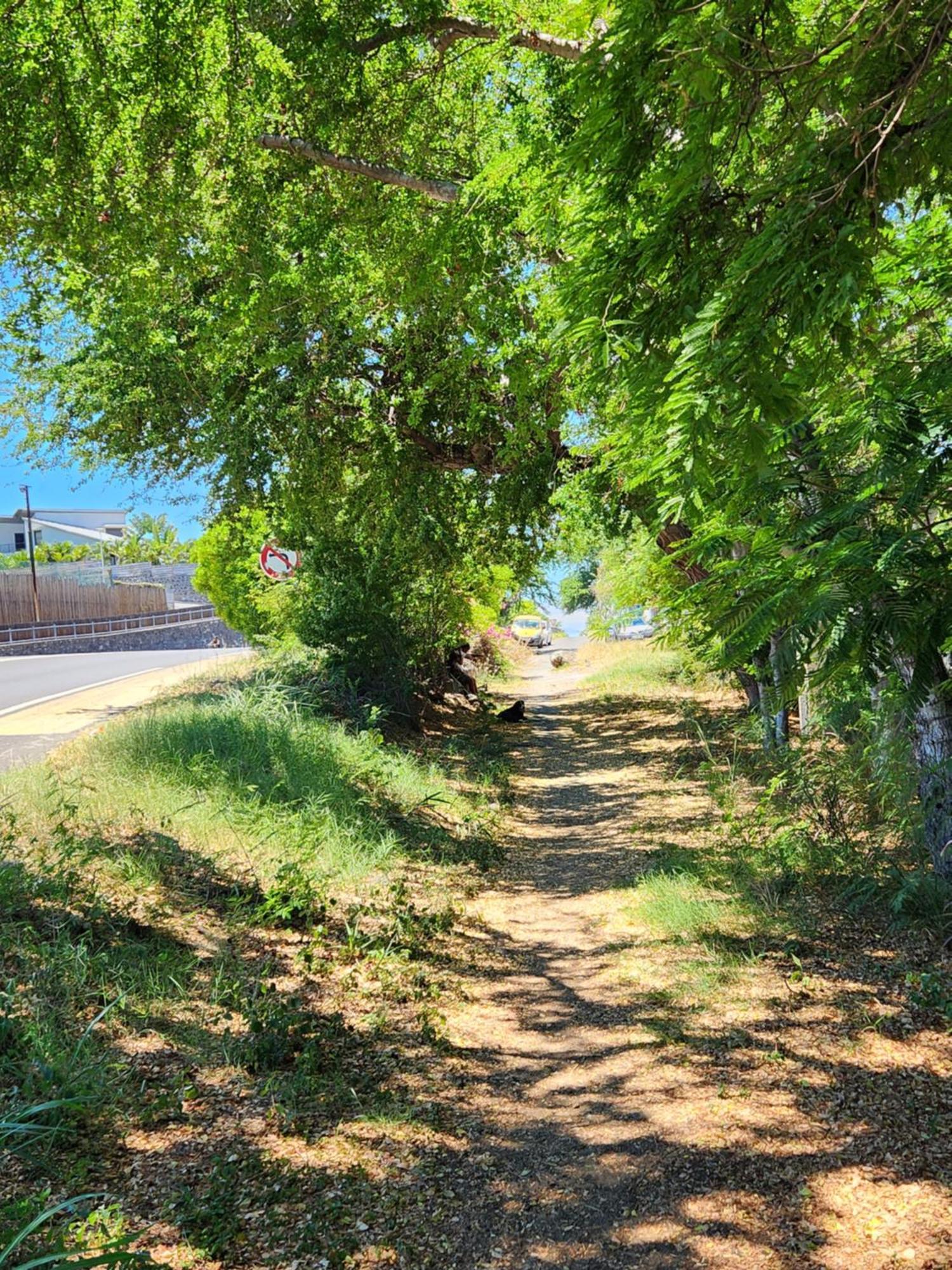 Cassiopee Leilighet Saint-Gilles-les Bains Eksteriør bilde